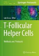 T-Follicular Helper Cells