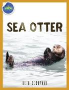 Sea Otter ages 2-4