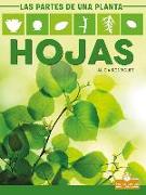 Hojas (Leaves)