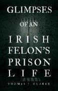 Glimpses of an Irish Felon's Prison Life