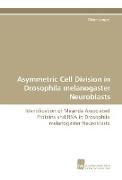 Asymmetric Cell Division in Drosophila melanogaster Neuroblasts