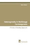 Heterogeneity in Multistage Carcinogenesis