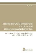 Chemische Charakterisierung von Bor- und Siliziumcarbonitridschichten