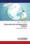 Determinants of Aggregate Import