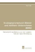 Strategiepromotoren kleiner und mittlerer Unternehmen (KMU)