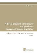 A Bose-Einstein condensate coupled to a micromechanical oscillator