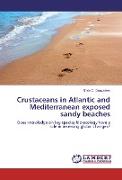 Crustaceans in Atlantic and Mediterranean exposed sandy beaches