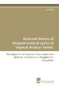 External drivers of biogeochemical cycles in tropical Andean forest