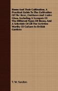 Roses And Their Cultivation. A Practical Guide To The Cultivation Of The Rose, Outdoors And Under Glass, Including A Synopsis Of The Different Types Of Roses, And A Schedule Of All The Varieties Worthy Of Culture In British Gardens