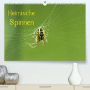 Heimische Spinnen (Premium, hochwertiger DIN A2 Wandkalender 2022, Kunstdruck in Hochglanz)