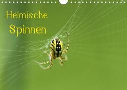 Heimische Spinnen (Wandkalender 2022 DIN A4 quer)