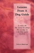 LESSONS FROM A DOG GUIDE