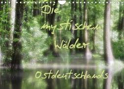 Die mystischen Wälder Ostdeutschlands (Wandkalender 2022 DIN A4 quer)