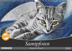 Samtpfoten - Katzen in Pastell (Wandkalender 2022 DIN A3 quer)