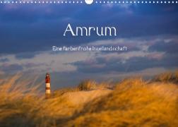 Amrum - Eine farbenfrohe Insellandschaft (Wandkalender 2022 DIN A3 quer)