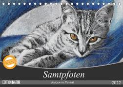 Samtpfoten - Katzen in Pastell (Tischkalender 2022 DIN A5 quer)