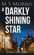 A Darkly Shining Star