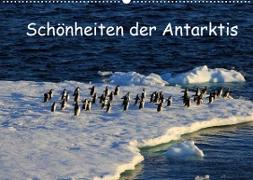 Schönheiten der Antarktis (Wandkalender 2022 DIN A2 quer)