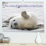 Faszination Kegelrobben und Seehunde 2022 (Premium, hochwertiger DIN A2 Wandkalender 2022, Kunstdruck in Hochglanz)