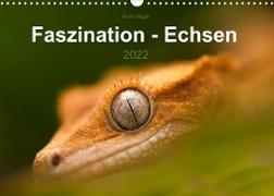 Faszination - Echsen (Wandkalender 2022 DIN A3 quer)