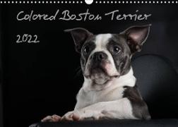 Colored Boston Terrier 2022 (Wandkalender 2022 DIN A3 quer)