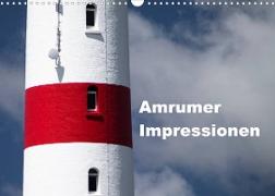Amrumer Impressionen (Wandkalender 2022 DIN A3 quer)