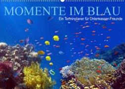 Momente im Blau - Ein Terminplaner für Unterwasser-Freunde (Wandkalender 2022 DIN A2 quer)