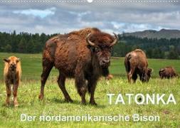 TATONKA Der nordamerikanische Bison (Wandkalender 2022 DIN A2 quer)