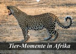 Tier-Momente in Afrika (Wandkalender 2022 DIN A3 quer)