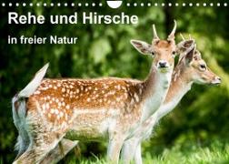 Rehe und Hirsche in freier Natur (Wandkalender 2022 DIN A4 quer)
