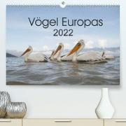 Vögel Europas 2022 (Premium, hochwertiger DIN A2 Wandkalender 2022, Kunstdruck in Hochglanz)