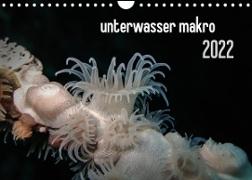 unterwasser makro 2022 (Wandkalender 2022 DIN A4 quer)