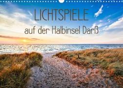 Lichtspiele auf der Halbinsel Darß (Wandkalender 2022 DIN A3 quer)