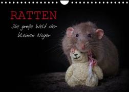 Ratten. Die große Welt der kleinen Nager (Wandkalender 2022 DIN A4 quer)