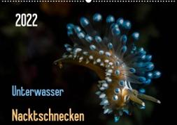 Unterwasser - Nacktschnecken 2022 (Wandkalender 2022 DIN A2 quer)