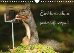 Eichhörnchen - zauberhaft verspielt (Wandkalender 2022 DIN A4 quer)