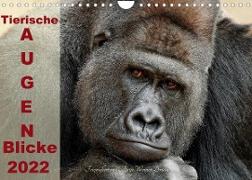 Tierische Augen-Blicke 2022 (Wandkalender 2022 DIN A4 quer)