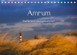Amrum - Eine farbenfrohe Insellandschaft (Tischkalender 2022 DIN A5 quer)