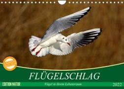 Flügelschlag - Vögel in ihrem natürlichen Lebensraum (Wandkalender 2022 DIN A4 quer)