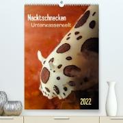 Nacktschnecken - Unterwasserwelt 2022 (Premium, hochwertiger DIN A2 Wandkalender 2022, Kunstdruck in Hochglanz)