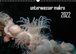 unterwasser makro 2022 (Wandkalender 2022 DIN A3 quer)