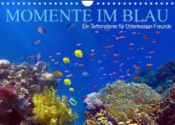 Momente im Blau - Ein Terminplaner für Unterwasser-Freunde (Wandkalender 2022 DIN A4 quer)