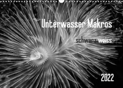 Unterwasser Makros - schwarz weiss 2022 (Wandkalender 2022 DIN A3 quer)
