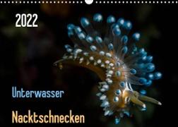 Unterwasser - Nacktschnecken 2022 (Wandkalender 2022 DIN A3 quer)