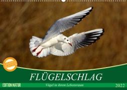 Flügelschlag - Vögel in ihrem natürlichen Lebensraum (Wandkalender 2022 DIN A2 quer)