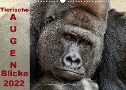 Tierische Augen-Blicke 2022 (Wandkalender 2022 DIN A3 quer)