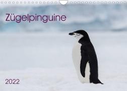 Zügelpinguine (Wandkalender 2022 DIN A4 quer)