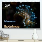 Unterwasser - Nacktschnecken 2022 (Premium, hochwertiger DIN A2 Wandkalender 2022, Kunstdruck in Hochglanz)