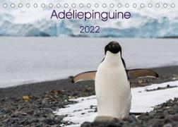 Adéliepinguine (Tischkalender 2022 DIN A5 quer)