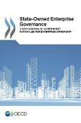 State-Owned Enterprise Governance: A Stocktaking of Government Rationales for Enterprise Ownership